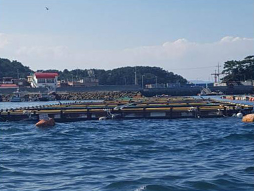 養殖場養魚場水質凈化